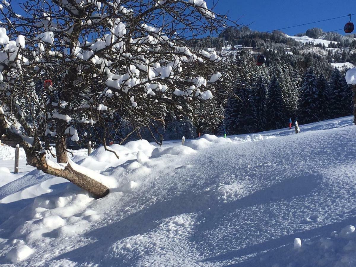 Beim Rohrer Lejlighed Kirchberg in Tirol Eksteriør billede